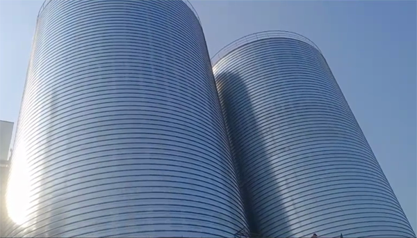 无为2座混凝土高架卷板仓